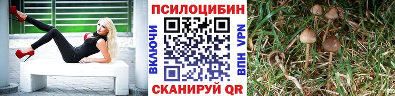 МЕГА tor  Кимры  Псилоцибиновые грибы Magic Shrooms  купить наркотик 