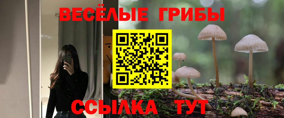 Галлюциногенные грибы Cubensis Кимры