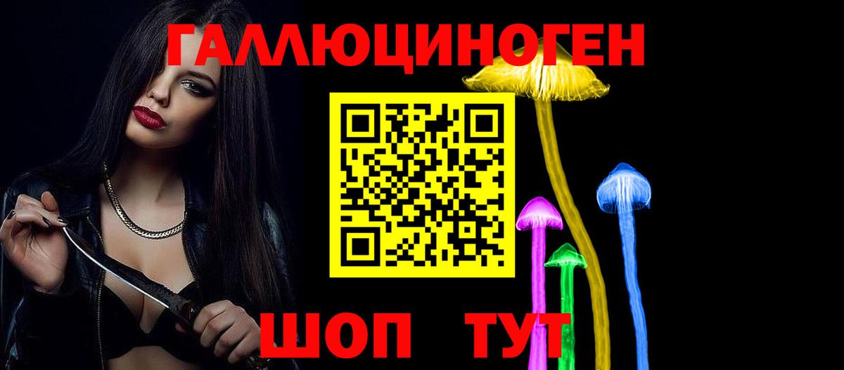 Кимры  Псилоцибиновые грибы прущие грибы  Вход с VPN 